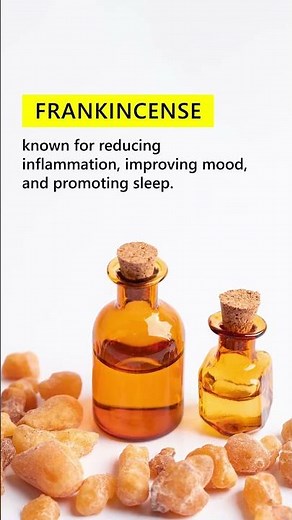 Here's your quick guide to the world of essential oils!