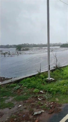 What Happens On A RAINY Day?