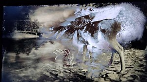 RDR 2 story mode is stuck on loading screen . It wont load the game .I have reinstall the game and tried various other methods but still it isn't working . I need help