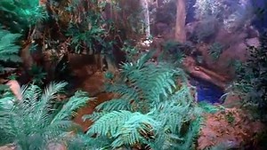 Beastmaster S01 E01 - video Dailymotion