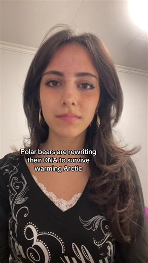 #globalwarning#polarbears#xybcafyp#wakeup#politics | Polar Bears