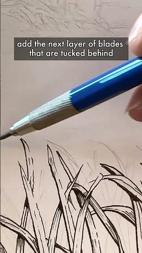 How to draw grass in #penandink