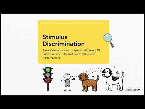 Stimulus Discrimination B-13