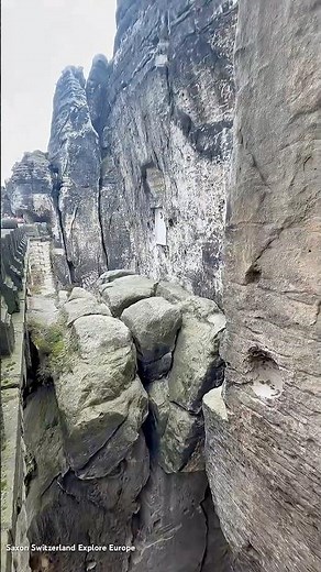 Explore the breathtaking landscapes of Saxon Switzerland National Park