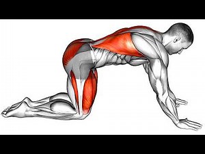 Cure Erectile Dysfunction in Minutes | 10-Minute Pelvic Floor Exercises for Men