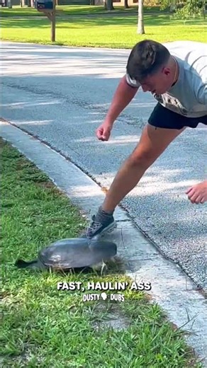 Fastest Turtle on the Planet 🐢💨🔥