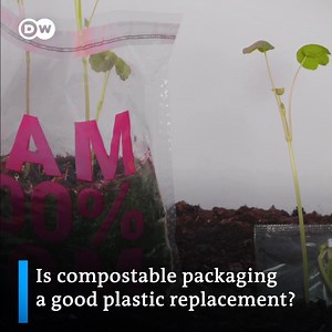 Meet the designers who make compostable 'plastic' film and bags that really just disappear. | DW Environment