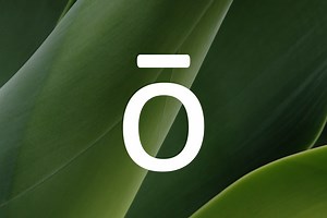 Roam Diffuser | doTERRA Essential Oils