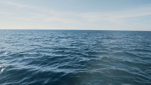 Humanscale Ocean Collection | Sustainable Chairs Made from Ocean Plastic