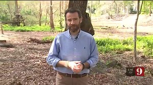 9 facts about tegus, the giant, invasive lizards living in Central Florida