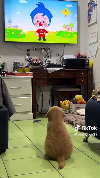 Cuentas recomendadas