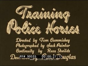 NEW YORK POLICE DEPARTMENT MOUNTED UNIT HORSE TRAINING 1940 HISTORIC FILM 99555