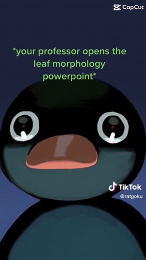 love this class but an almost full class of just names for leaf morphology drove me a little insane #botany #plants #herbarium