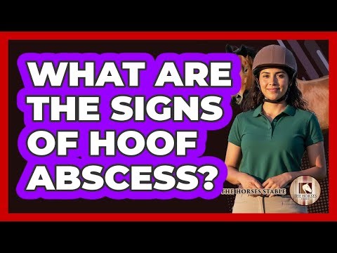 What Are The Signs Of Hoof Abscess?