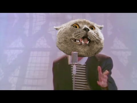 Rick Rolled (Cat Version)