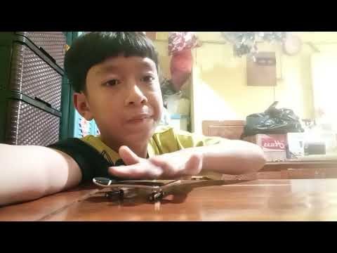 How to Be a Fingerboard Player (Beginner Tutorial + Tricks!)