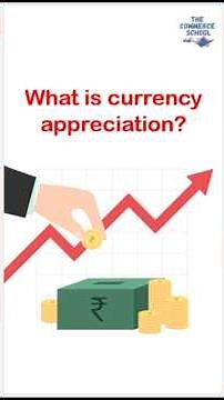 Currency Appreciation