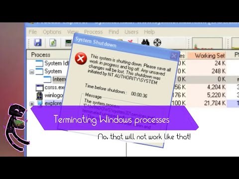 Terminating system processes in Windows!