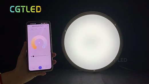 12inch 24w Smart Lamp Tuya APP Control Led Ceiling Lights Flush Mount Ceiling Light Led Ceiling Light for Living Room