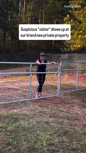 The Dog Daddy Mystery 🐶 #Shorts