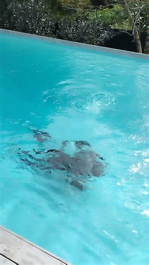 Hydrostatic valve replacement