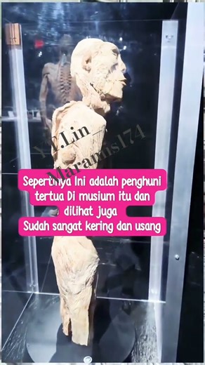 M_798😱SEPERTIYA INI SPECIMEN TER... #justiceforyumenglong #shortvideo #viral #viralvideo #shorts