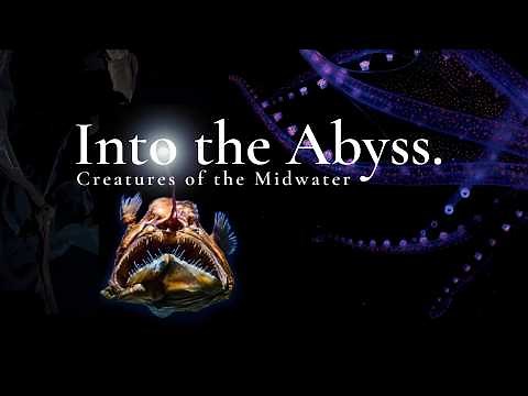 Into the Abyss: Creatures of the Midwater (Full Movie)