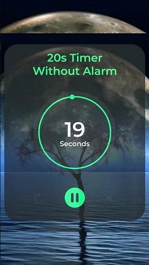 00:20s ⏲️ NO ALARM 20 Second TIMER with Tick Tock Sound Every second - Can Loop, Can Repeat