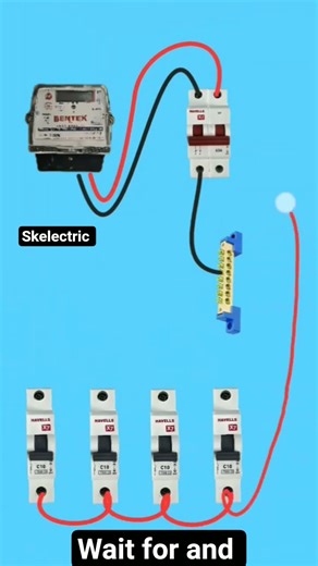Complete Home Wiring Setup: Energy Meter to Distribution Box | MCB and Neutral Link Connection Guide