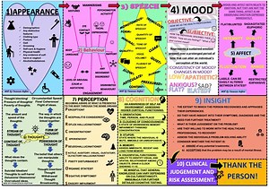 Ten Point Guide to Mental State Examination (MSE) in Psychiatry