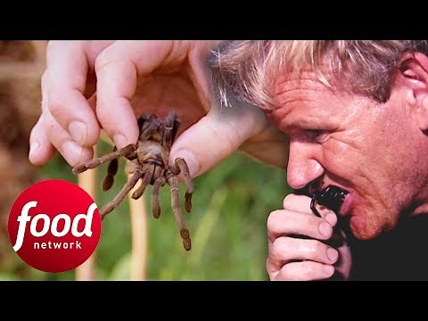 Gordon Ramsay Tries To Eat A Fried Spider In Cambodia | Gordon's Great Escape