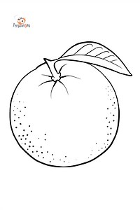 Orange coloring page for kids ♥ Online and Print for Free!