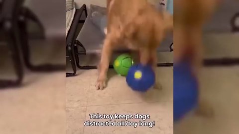 275Gal Stackable Storage Bins with Lid, 1100Qt Extra Large Collapsible Storage Box with Doors and Wheels, Plastic Closet Organizer and Storage Cabinet Drawer for Home Kitchen, 5Pack White