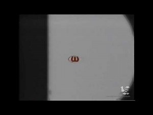 Worldvision Enterprises (Opening)