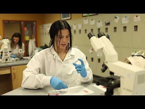 Iowa Central: Medical Laboratory Technician (MLT) Program