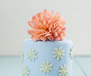 How To Make A Fondant Peony? - Cake Decorist
