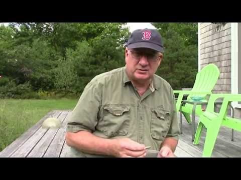 Cast and Plated Bullets ~ Simple Basics to Save Money!