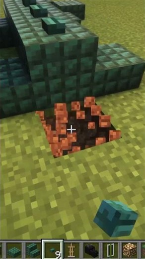 Minecraft Alligator 🐊 #shorts