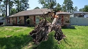 'It was very scary': Fallen tree narrowly misses Spring family during severe storms