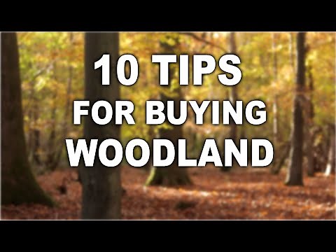 10 Tips for Buying a Woodland | Off Grid | Bushcraft | Camping