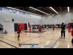 Flash vs Shockwave Stingrays set 2 (Nov 22/2025)