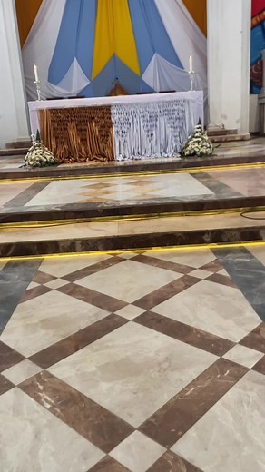 Assumption of Mary Catholic on TikTok