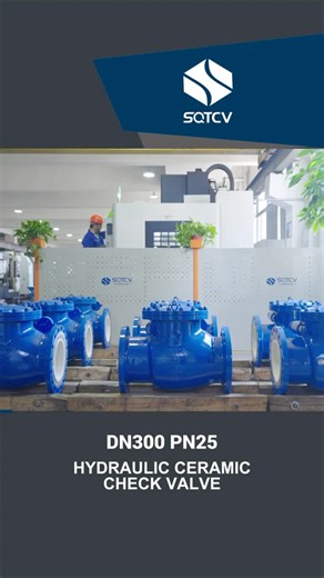 PRC Valve Media on Instagram: "DN300 PN25 HYDRAULIC CERAMIC CHECK VALVE-SQTCV"