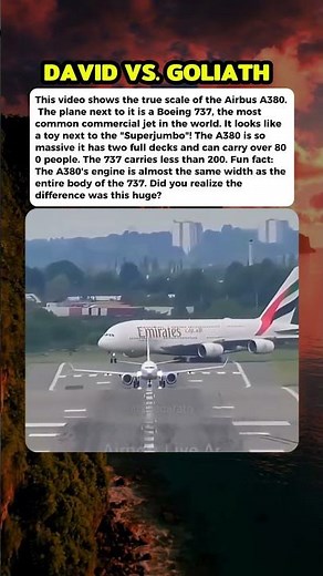 The incredible size difference between the A380 and a standard jet #curiosity #mistery