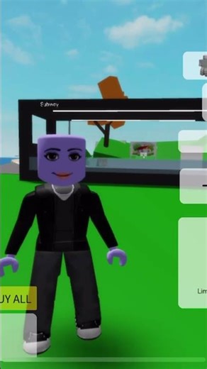 Brookhaven Secret: Secret Youtuber ID code