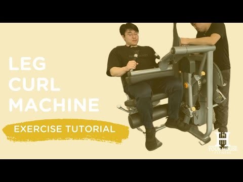 How to Use Leg Curl Machine