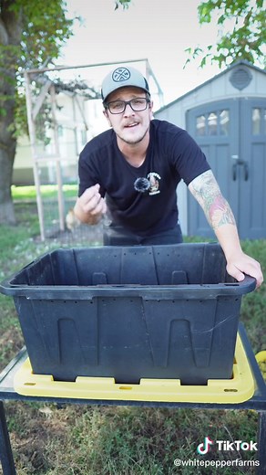 How To Start A Worm Composting Bin: Step-By-Step Guide