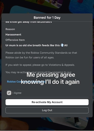 Understanding Roblox Bans: A User's Journey