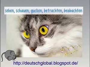 sehen, schauen, beobachten, gucken