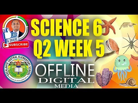 Science 6 Quarter 2 Week 5: Invertebrate Animals